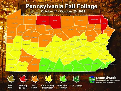 Peak fall foliage covers northern half of Pennsylvania, says weekly ...