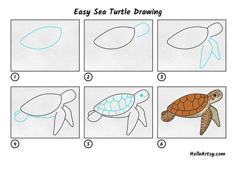 Simple Sea Turtle Designs - Justiceforayla Blog