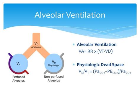 Alveolar Ventilation Archives - Pathway Medicine