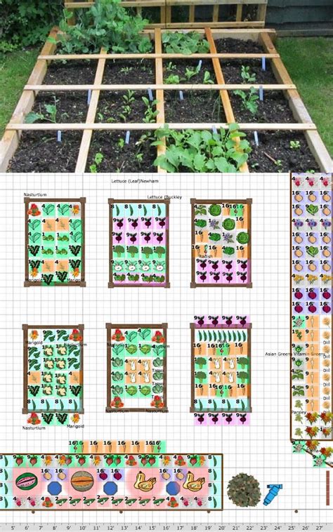 Square Foot Garden Vegetable Layout - Hobby Granding