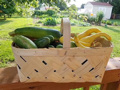 Sturdy Wood Woven Produce Basket Set of 3 Garden, Farm, Fruit ...