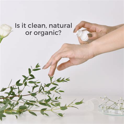 Clean, Natural, Organic: Skincare Ingredients Explained | MOOD – MOOD ...