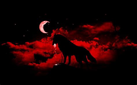 Red and Black Wolf Wallpapers - 4k, HD Red and Black Wolf Backgrounds ...