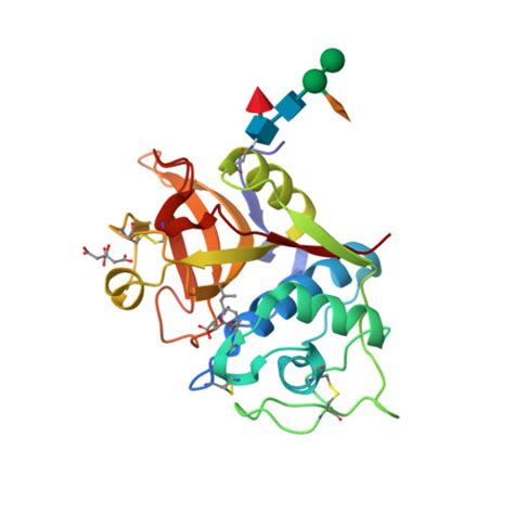 RCSB PDB - 6YCF: Structure the bromelain protease from Ananas comosus ...