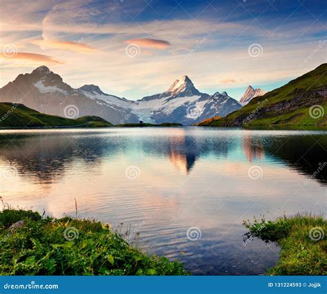 Amazing Summer Sunrise on Bachalpsee Lake with Schreckhorn and W Stock ...