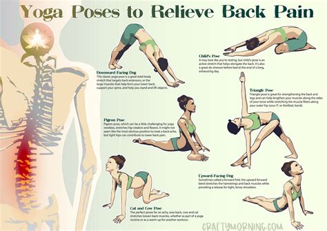 Anatomy Pictures Of Lower Back And Hip : 10 Exercises For Back And Hip ...