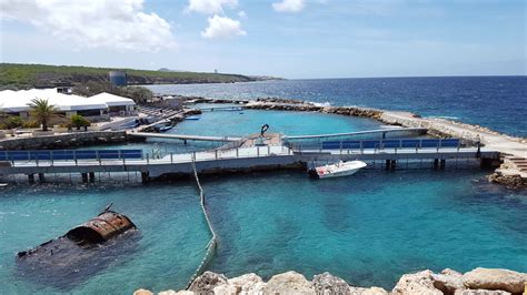 Royal Resorts Sea Aquarium Curacao- About the Resort - Royal ResortsThe ...