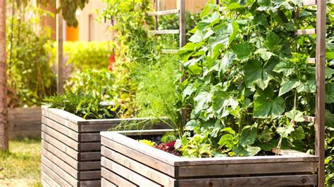 15 Tips for Gardening in Small Spaces