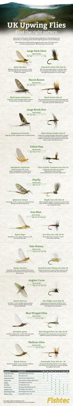 900+ Flies and fly patterns ideas | fly tying, fly fishing, flying