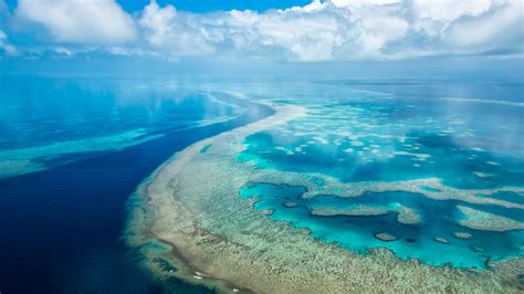 Great Barrier Reef Australia UHD 4K Wallpaper | Pixelz