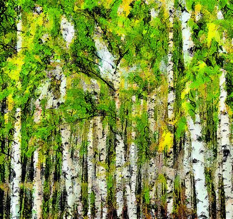 Birch Tree Forest Digital Art by Yury Malkov - Fine Art America