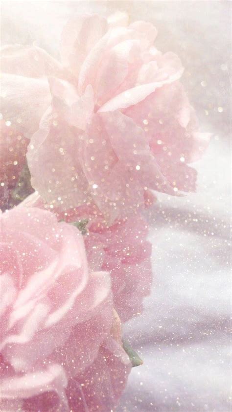 Aesthetic Flower Pastel Pink Background - Diamond Scotch