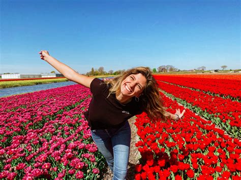 The Ultimate Guide To Visiting Tulip Fields In The Netherlands