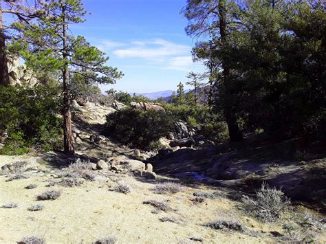 Kern County Mountain Land Trees and Trails | PY Properties LLC