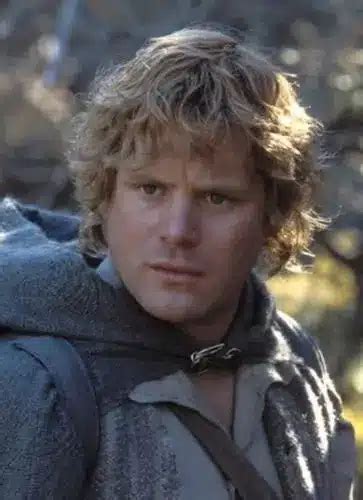 How To Dress Like Samwise Gamgee Costume Guide: Recreating The Heroic ...