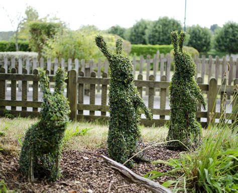 Topiary animals - Bespoke topiary plant sculptures