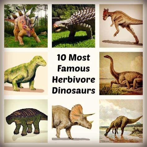 Herbivore Dinosaurs | Herbivore, Dinosaur, Dinosaur activities preschool