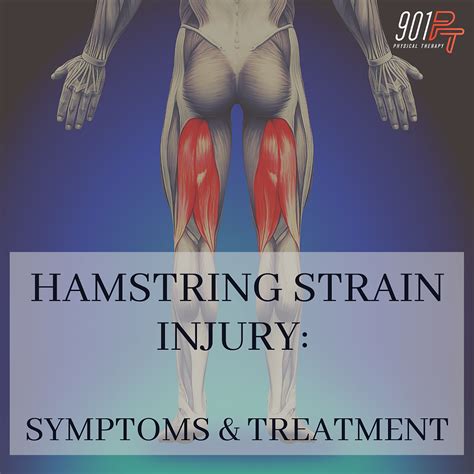 Hamstring Strain Injury: Symptoms and Treatment