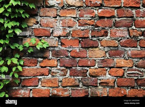 Old Brick Wall Background