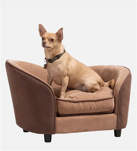 Buy Medium Pet Sofa In brown By Dogily at 100% OFF by Dogily | Pepperfry