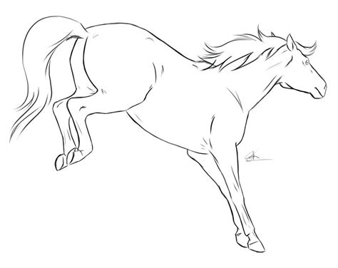 Bucking Horse Drawing at GetDrawings | Free download