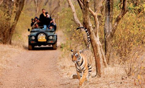 Best Wildlife Places in Rajasthan