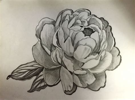 Flower Drawings With Shading 12++ Images Result | Koltelo