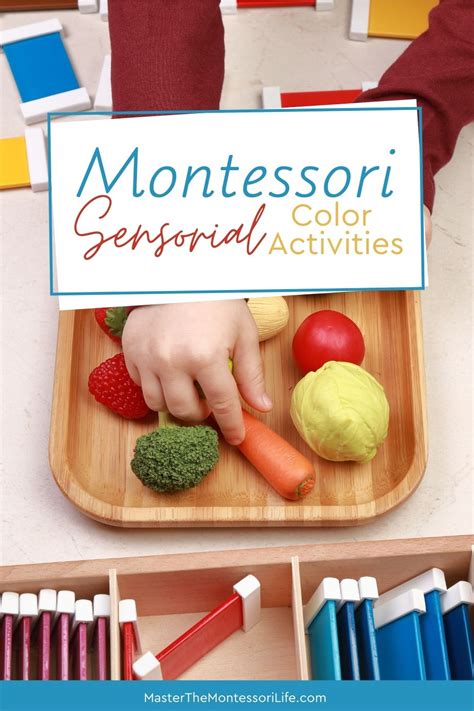 Montessori Sensorial Color Activities - Master the Montessori Life