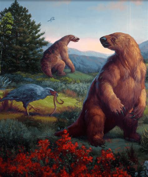 Giant Ground Sloths, Still Living Now? – Mystic Sciences