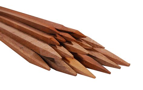 Miracle-Gro 5 FT Hardwood Stakes - Shop Garden tools at H-E-B