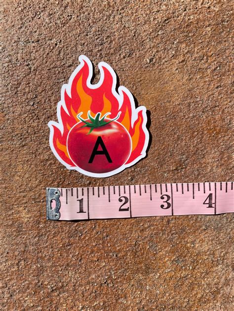 ATOMATOFLAMES Aviation Acronym Sticker A TOMATO FLAMES - Etsy