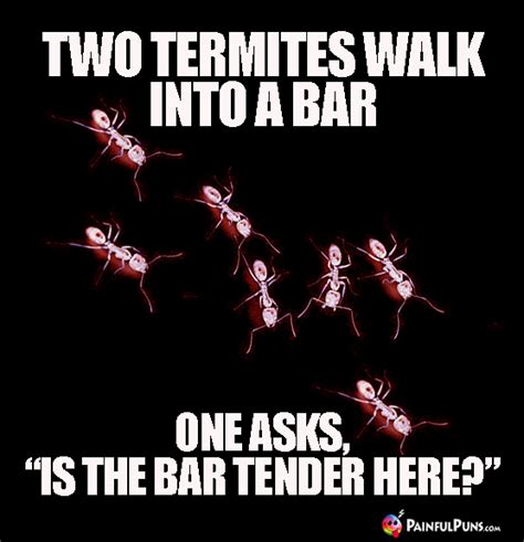 Bar Jokes, Bartender Puns, Beer and Wine Humor | PainfulPuns.com