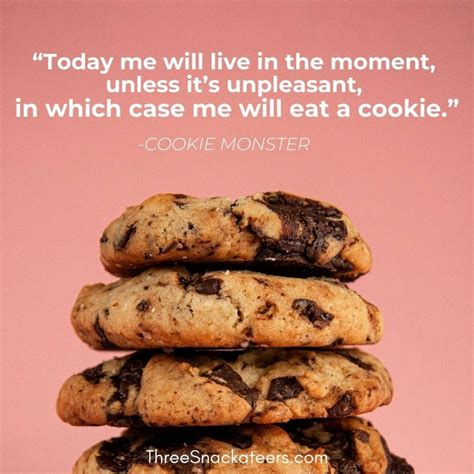 75 Cookie Monster Quotes & Captions - The Three Snackateers