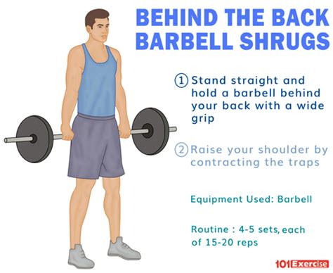 Behind the Back Barbell Shrugs | 101Exercise.com