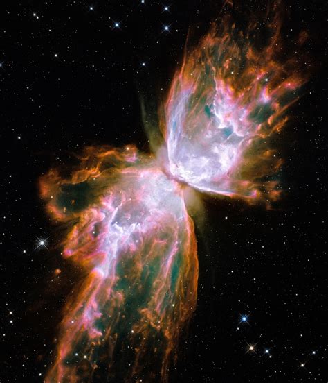 The Butterfly Of The Galaxies Free Stock Photo - Public Domain Pictures