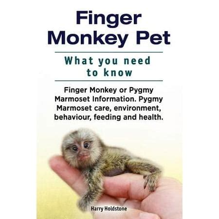 Finger Monkey Pet. What You Need to Know. Finger Monkey or Pygmy ...