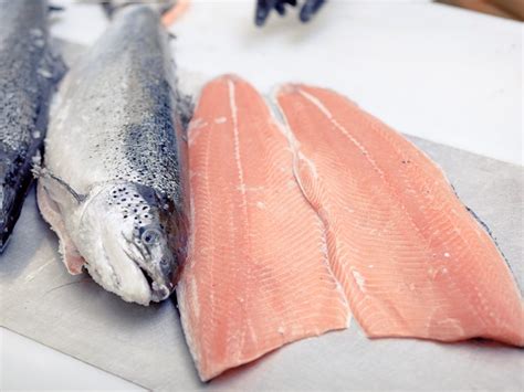 Skuna Bay – A Salmon for Every Season