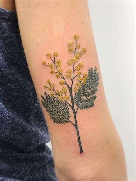 Small Acacia Tree Tattoo : Download acacia tree stock vectors.