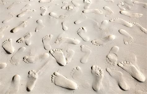 Wallpaper sand, sea, beach, summer, foam, traces, beach, sea, sand ...