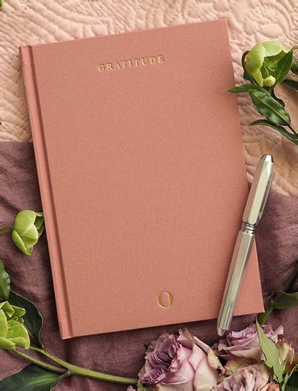 Gratitude Journal - Oprah Daily Shop