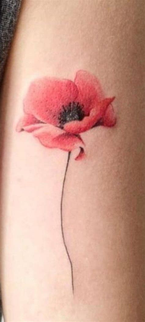 Poppy flower in 2024 | Tatoeage ideeën, Tatoeages, Tatoeage