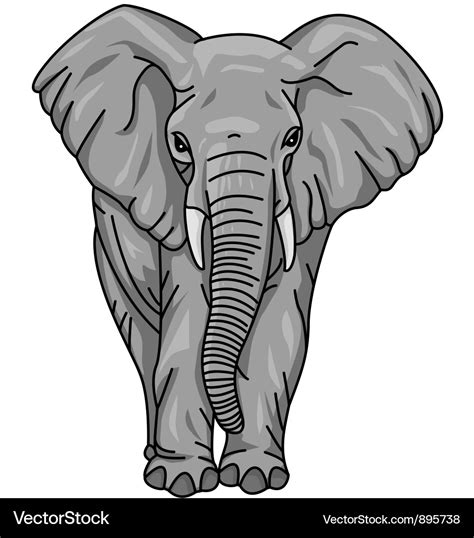 African elephant Royalty Free Vector Image - VectorStock