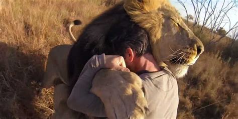 Kevin Richardson Hugs A Wild Lion - Business Insider