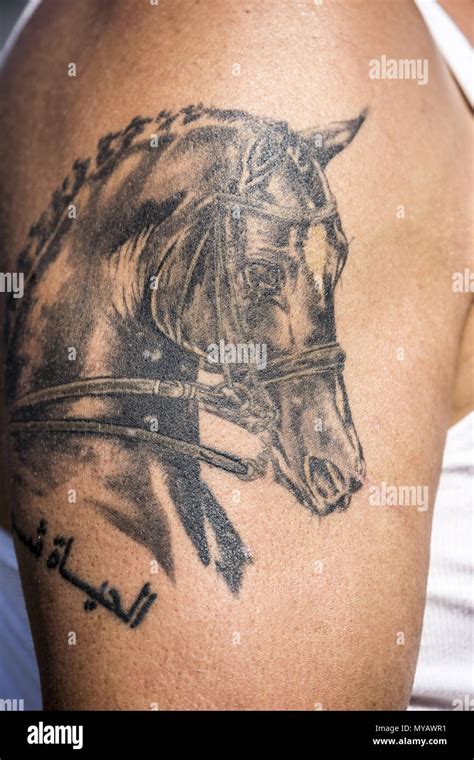 Horse-tattoo on the arm of a woman. Germany Stock Photo - Alamy