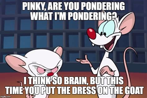 Pondering Pinky And The Brain Meme