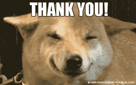 Cute Thank You GIFs - Get the best GIF on GIPHY