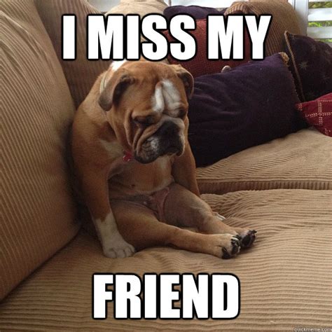 BOO I REALLY Miss you now - depressed dog - quickmeme