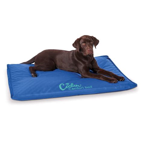 The 9 Best Cooling Water Bed For Dogs – Home Gadgets