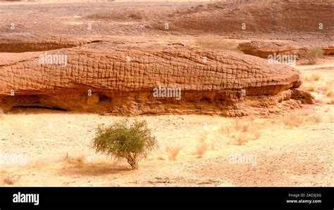 Sahara Desert. Rock formations in the Sahara Desert. Photographed in ...