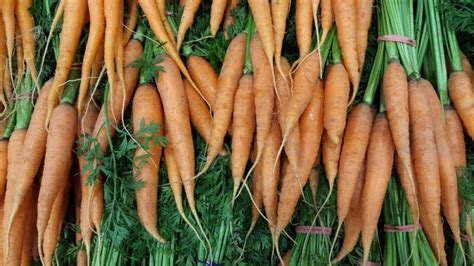 15 Best Carrot Varieties to Grow at Home | House Grail